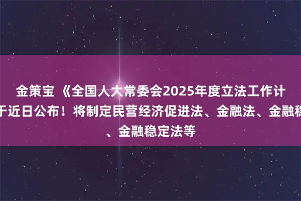 金策宝 《全国人大常委会2025年度立法工作计划》将于近日公布！将制定民营经济促进法、金融法、金融稳定法等