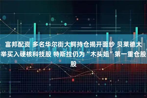 富邦配资 多名华尔街大鳄持仓揭开面纱 贝莱德大举买入硬核科技股 特斯拉仍为“木头姐”第一重仓股