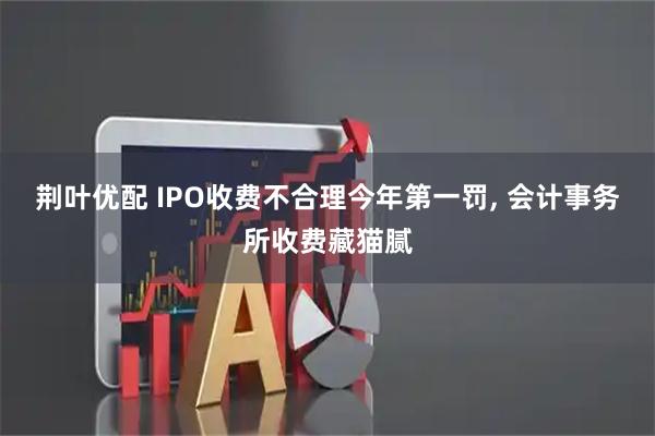 荆叶优配 IPO收费不合理今年第一罚, 会计事务所收费藏猫腻